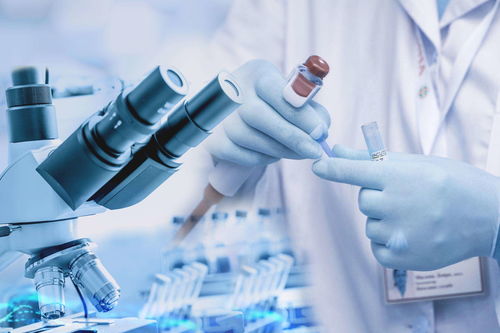 進賢高質量發(fā)展邁出堅實步伐 38個億元以上項目助推企業(yè)管理升級